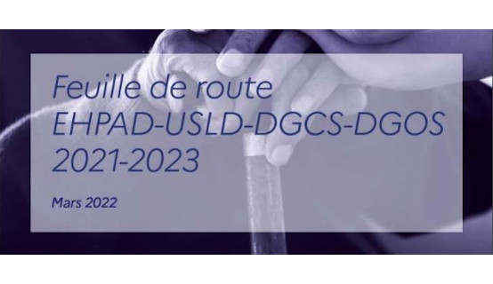 Feuille de route EHPAD-ULSD